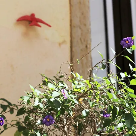 דירה The Back Street Nest