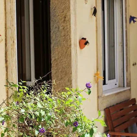 The Back Street Nest *