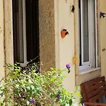 The Back Street Nest *