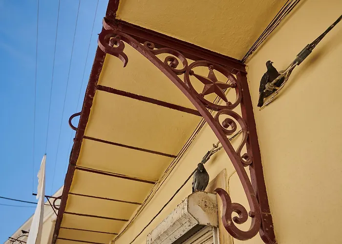 The Back Street Nest