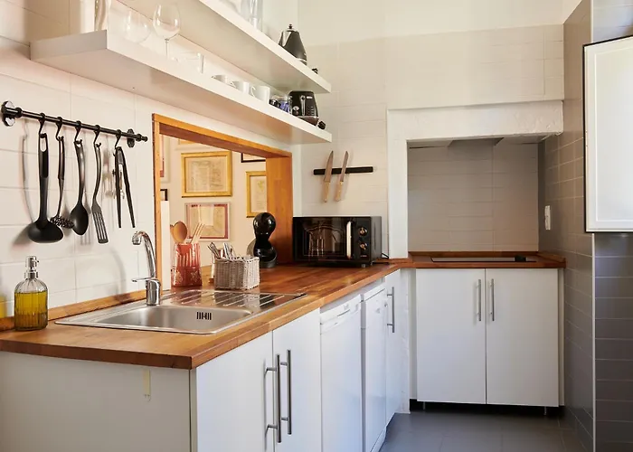 The Back Street Nest *