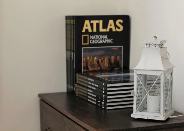 The Back Street Nest *