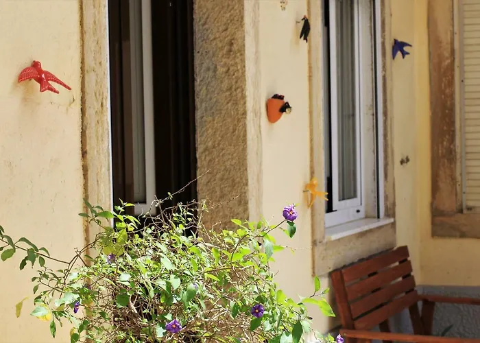 The Back Street Nest *