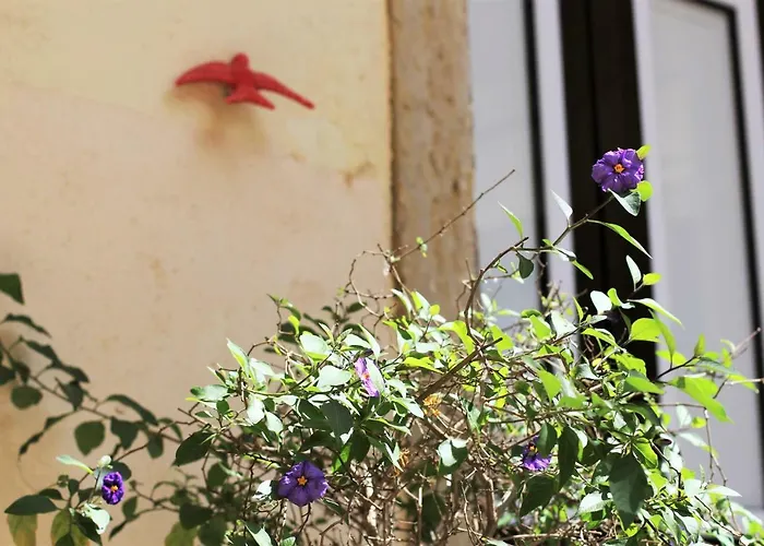 Lejlighed The Back Street Nest